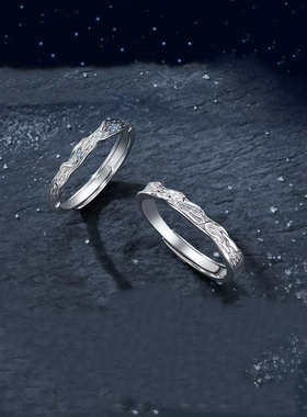 南极星情侣对戒小众设计2025新款