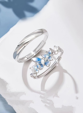 蓝蝶之恋情侣戒指高级感对戒小众