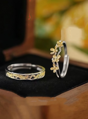 迟桂情侣对戒超好看独特漂亮戒指