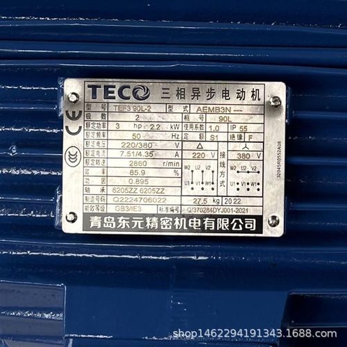 厂家直发电机TEF3 90tL-2  AEMB3N 3HP 2P厂家 - 图1