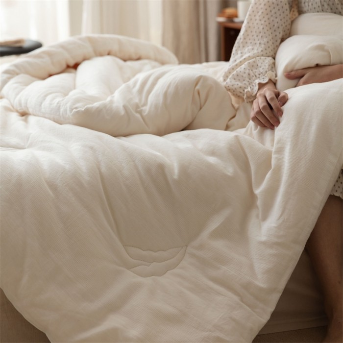 全棉纯棉加厚被子被芯原棉大豆被春秋子母被冬被夏凉被四季通用款