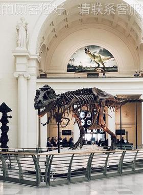 大玻型恐龙化石:1骨架博物馆商1场家橱窗庭院璃16677钢摆件厂直销