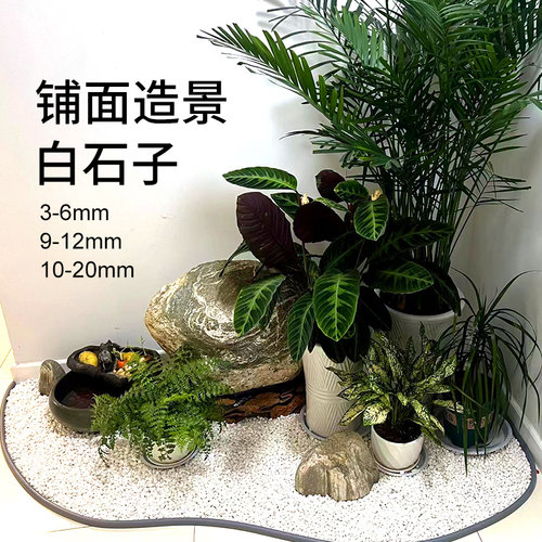 铺面颗粒石多肉专用土麦饭石赤玉土火山石绿沸石白石子造景鹅卵石 - 图2
