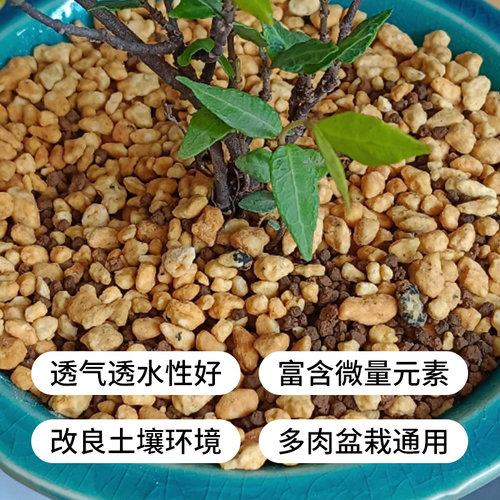铺面颗粒石多肉专用土麦饭石赤玉土火山石绿沸石白石子造景鹅卵石 - 图1
