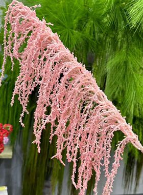 新款绿色龙须草 吊米 白色情人泪仿真花花婚庆背景花艺软装假花批