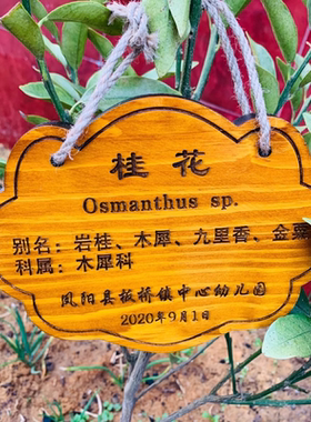 定制花草地牌树牌户外插地牌防腐实木质牌简介植物挂牌悬挂式标牌