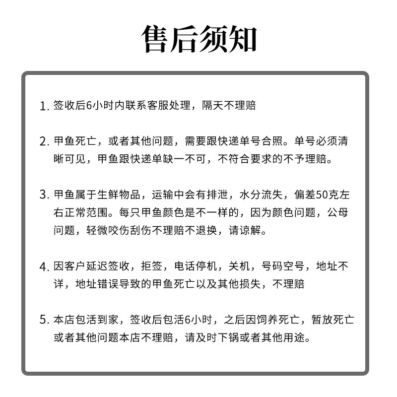 【生态外塘大甲鱼放养老鳖食用小甲鱼苗公母中华鳖水鱼团鱼脚鱼 - 图2