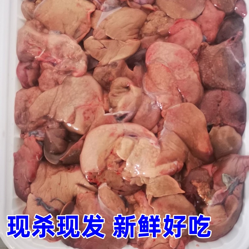 甲鱼鲜活甲鱼肝即食肝老鳖肝团鱼肝中华鳖肝500克新鲜正宗有营养 - 图3