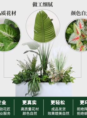 新品仿真花箱植物造景摆件室内z假绿植隔断遮挡旅人蕉盆栽树花槽