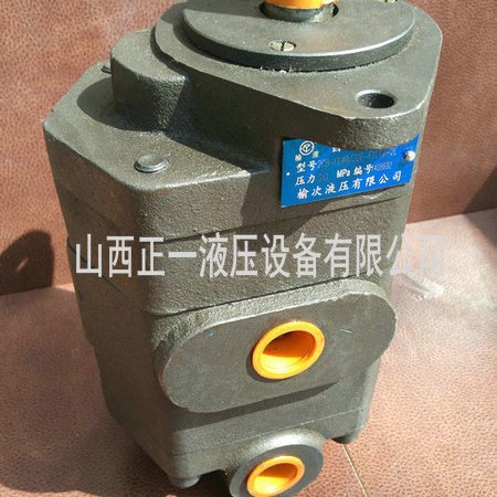 直供兰考吊车专用双联齿轮泵2CB-FE40(32/20E-F1/4L11/12-2/3L) - 图2