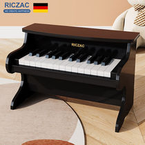 RICZAC Germany wood small piano childrens electronic violin beginue girl baby boy boy music play