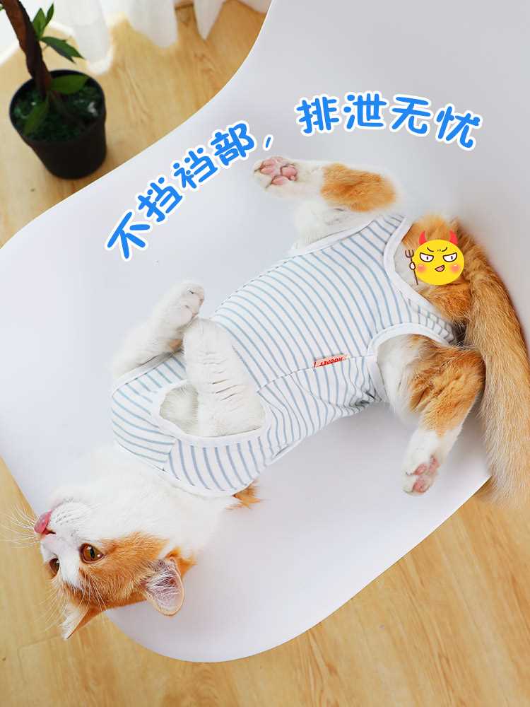 猫手术服母猫绝育衣服断奶服四脚猫咪衣服术后防护透气猫咪绝育服 - 图0