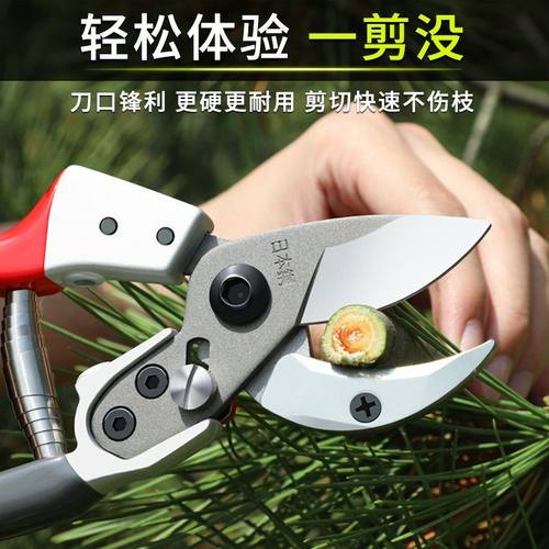 花艺师插花专用剪刀修枝剪园艺花枝花卉修剪树枝盆景鲜花剪子工具 - 图0