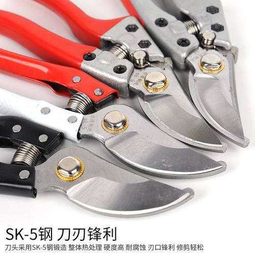 花艺师插花专用剪刀修枝剪园艺花枝花卉修剪树枝盆景鲜花剪子工具 - 图2