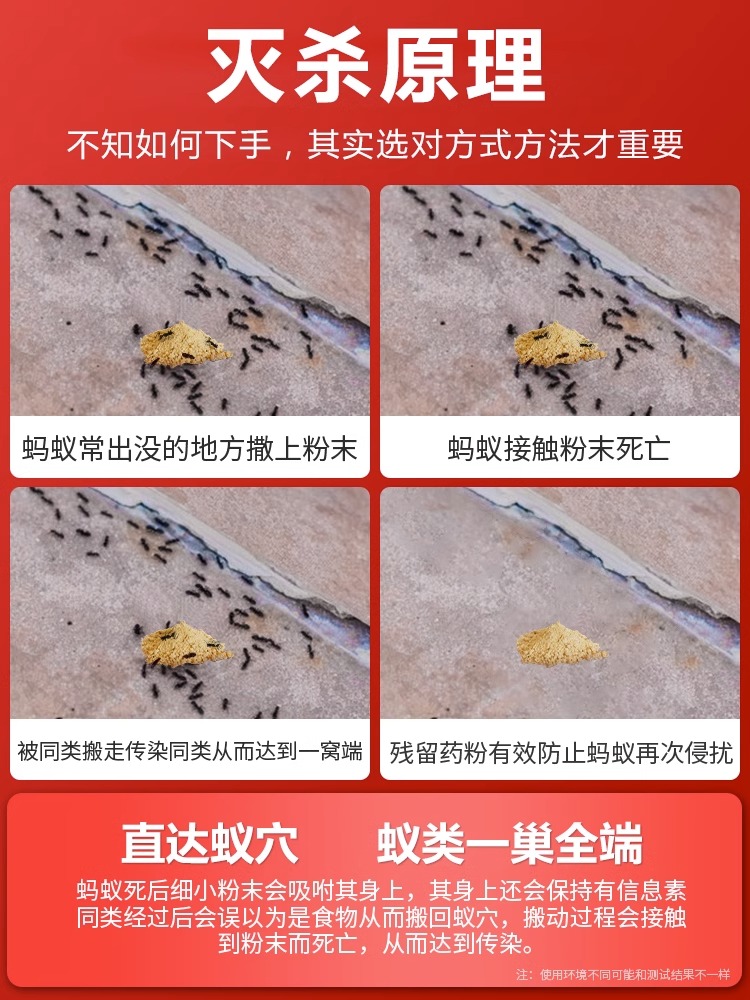 蚂蚁药一锅端家用白蚁防治专用药全窝端室内非无毒杀蚁饵剂户外灭 - 图2