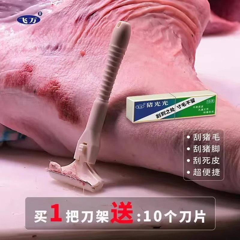 猪光光刮猪毛专用刀刮猪毛刀刮羊毛刮猪蹄刮油去油刀锋利持久,淘宝优惠券,粉丝福利购,淘宝优惠卷