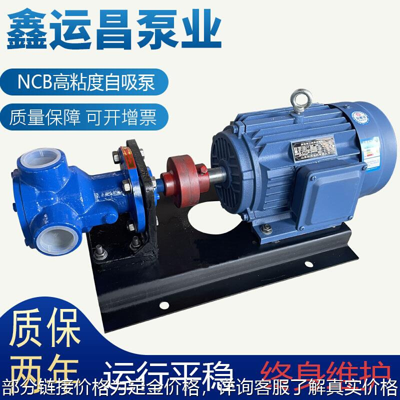 NCB转泵内啮合齿轮泵乳胶漆输送泵小流量高粘度输送泵厂家直销-图0