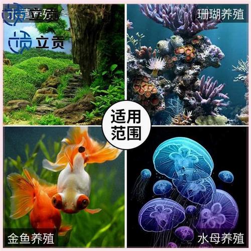 家用鱼缸冷水机小型迷你静音水族冷暖两用自动制冷机水母缸恒温机 - 图0