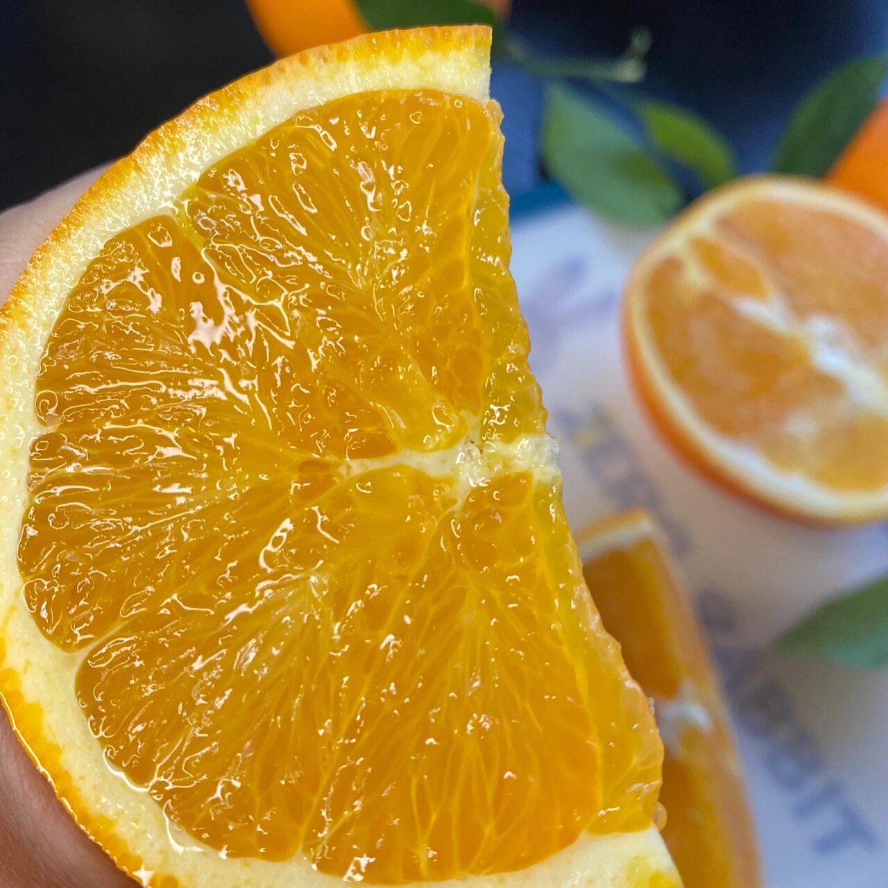 渝见橙正宗重庆奉节脐橙新鲜水果橙子现摘现发精选彩箱装
