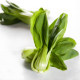 Chinese cabbage Dwarf Shanghai green seeds