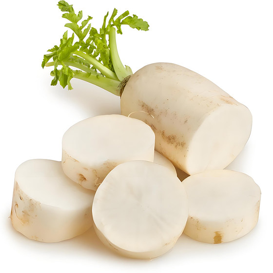 Summer heat-resistant white jade radish large white radish species