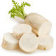 Summer heat-resistant white jade radish large white radish species