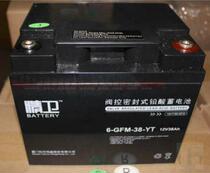 Lean storage battery 6-GFM-38-YT12V38AH Emergency power supply DC Screen Equipment lamp Home Lighting