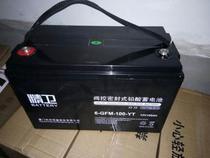 Lean storage battery 6-GFM-100-YT battery 12V100AH) machine room UPS DC screen power private