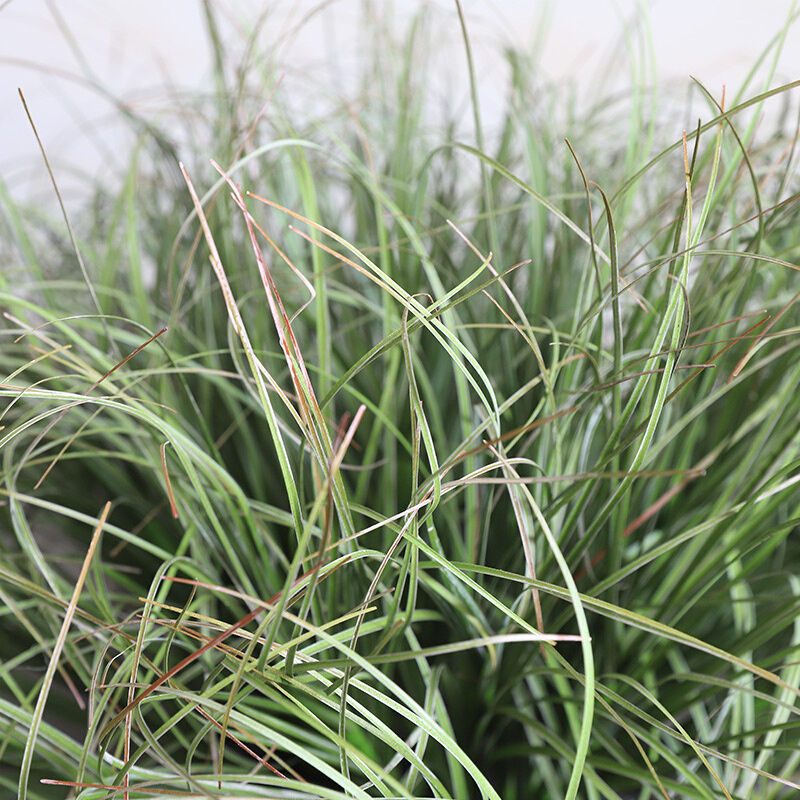 仿真绿植草垛草丛室内绿植造景小草蒲草堆假草团落地花艺摆放草 - 图2