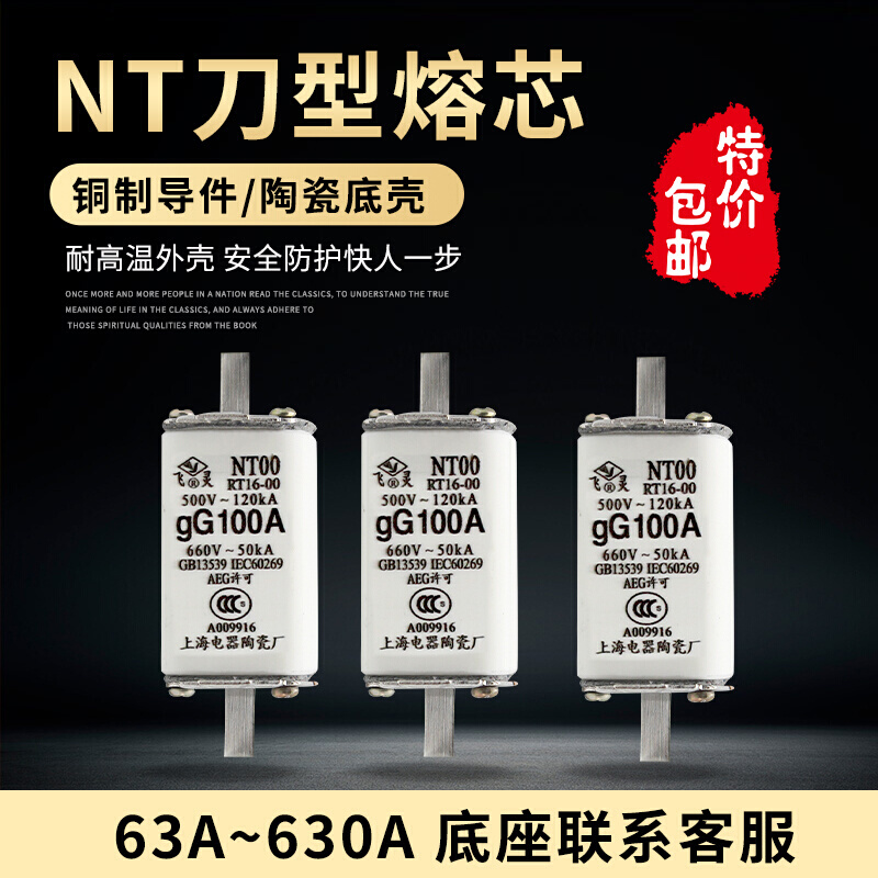 RT16-00熔断器熔芯HR6/HR17B保险丝NT00 63A100A125A160A250A630A - 图0