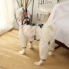 Dog four-legged waterproof all-inclusive transparent raincoat