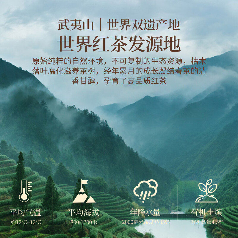 武夷朴红茶特级金骏眉正山小种乌龙大红袍肉桂茶叶岩茶礼盒装54g,淘宝优惠券,粉丝福利购,淘宝优惠卷
