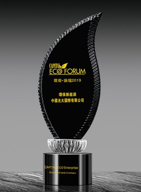 黑色水晶奖杯奖牌定制企s业员工颁奖奖杯创意比赛冠军奖牌定做刻