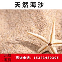 Beijing natural sea sand yellow sand baby sand childrens paradise toy sand pool beach build up to replace the cassiae sand