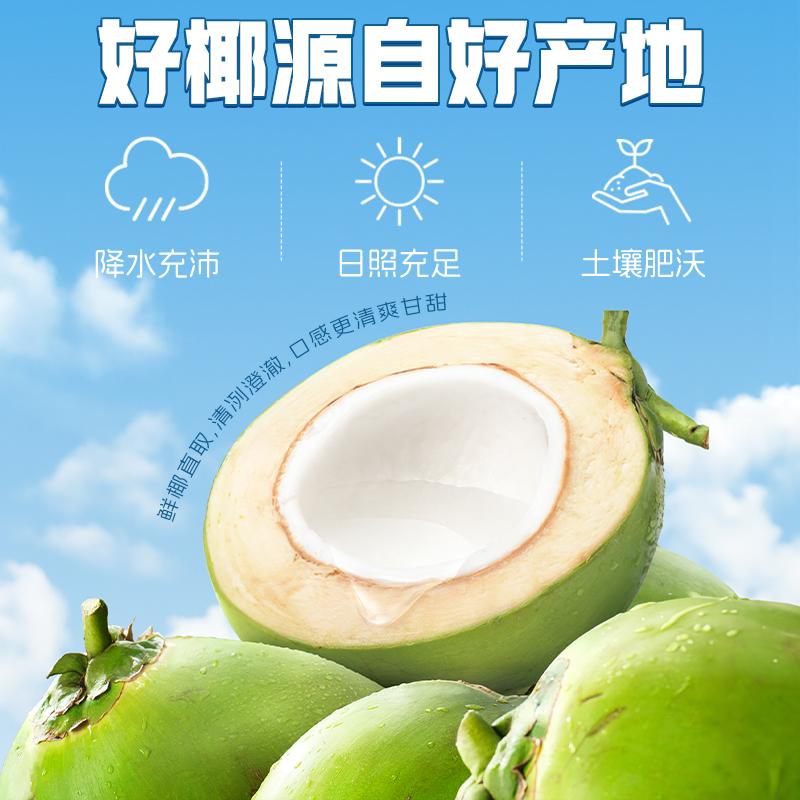 轻上100%椰子水泰国进口椰子椰子汁含电解质饮品245ml*6瓶/整箱装