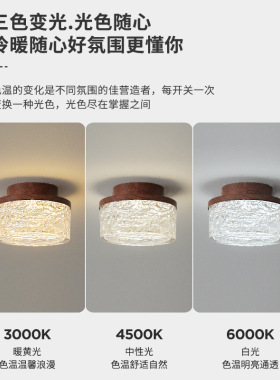 法式中古风树脂设计师吸顶灯