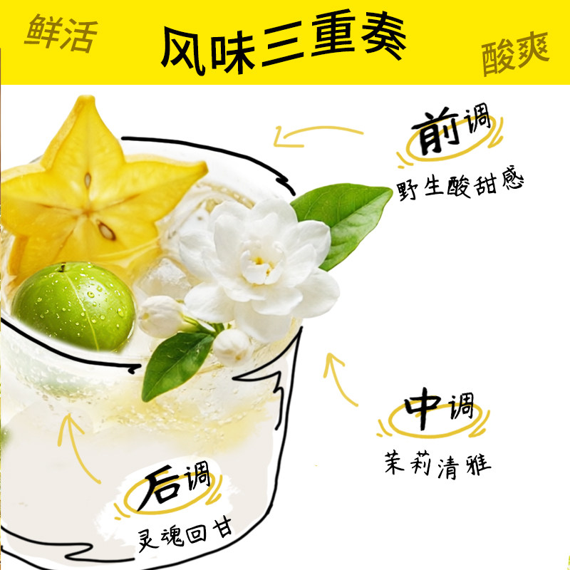 【新品】MAXX杨桃茉莉低糖康普茶微酸微气泡碳酸茶饮料500ml*15瓶