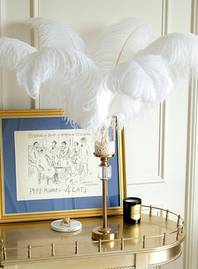 天然鸵鸟羽毛家居软装饰品粉色北欧式Ins门店铺直播橱Z窗展示套装