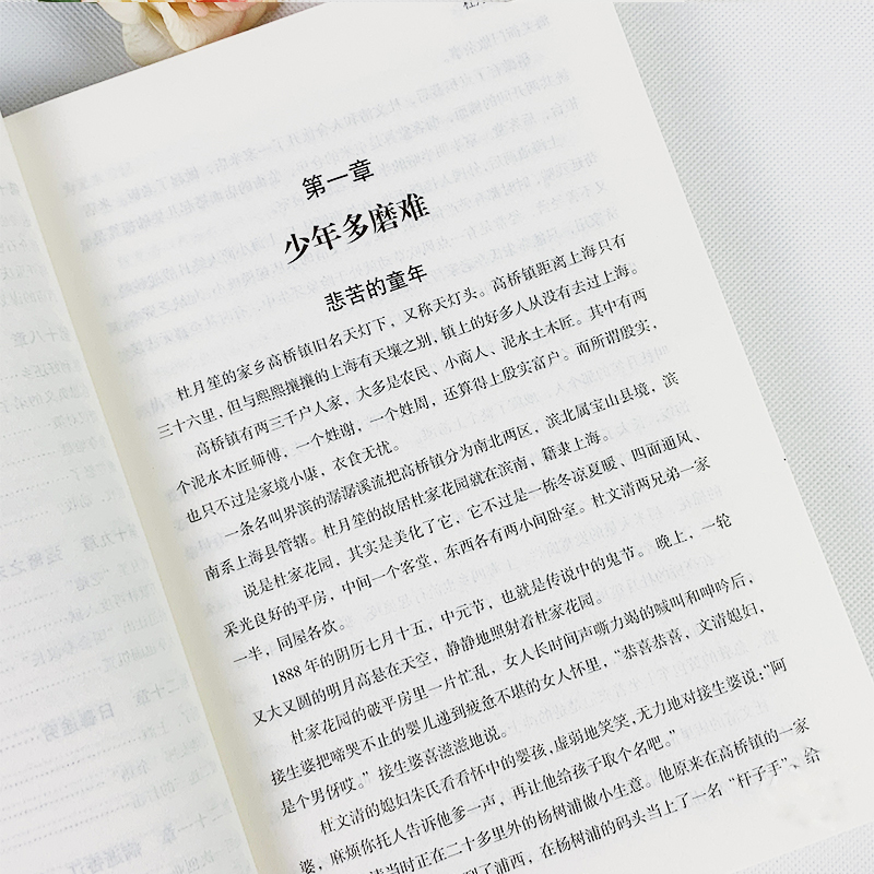 全3册杜月笙戴笠黄金荣全传民国历史人物黑道小说中国历史名人传记书籍戴笠全传白金版上海大亨军事人物戴笠全传人物传记畅销书籍-图1