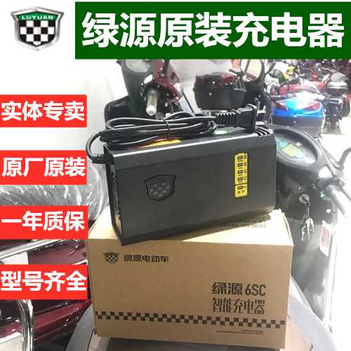 绿源原装电动车电瓶车智能充电器48V60V72V12/20AH-20E30E40E-T2T - 图0