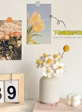 拍摄道具小摆件卧室桌面干花装饰房间改造民宿布W置物件感小众