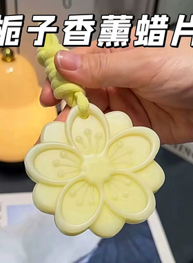 衣柜香薰片蜡片家用持久固体香氛