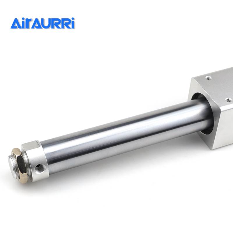 RMS10/16/20/25/32/40x100x200x300磁偶式无杆气缸RMSF/RMSPX1000 - 图1