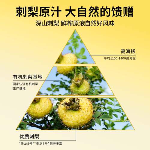 恒力源100%有机刺梨原汁鲜榨刺梨原液贵州特产刺梨原浆VC纯果汁 - 图1