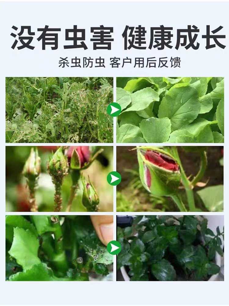 菜地植物杀虫家庭园艺防虫片蔬菜菜地除虫花盆花草盆栽花卉除虫 - 图2