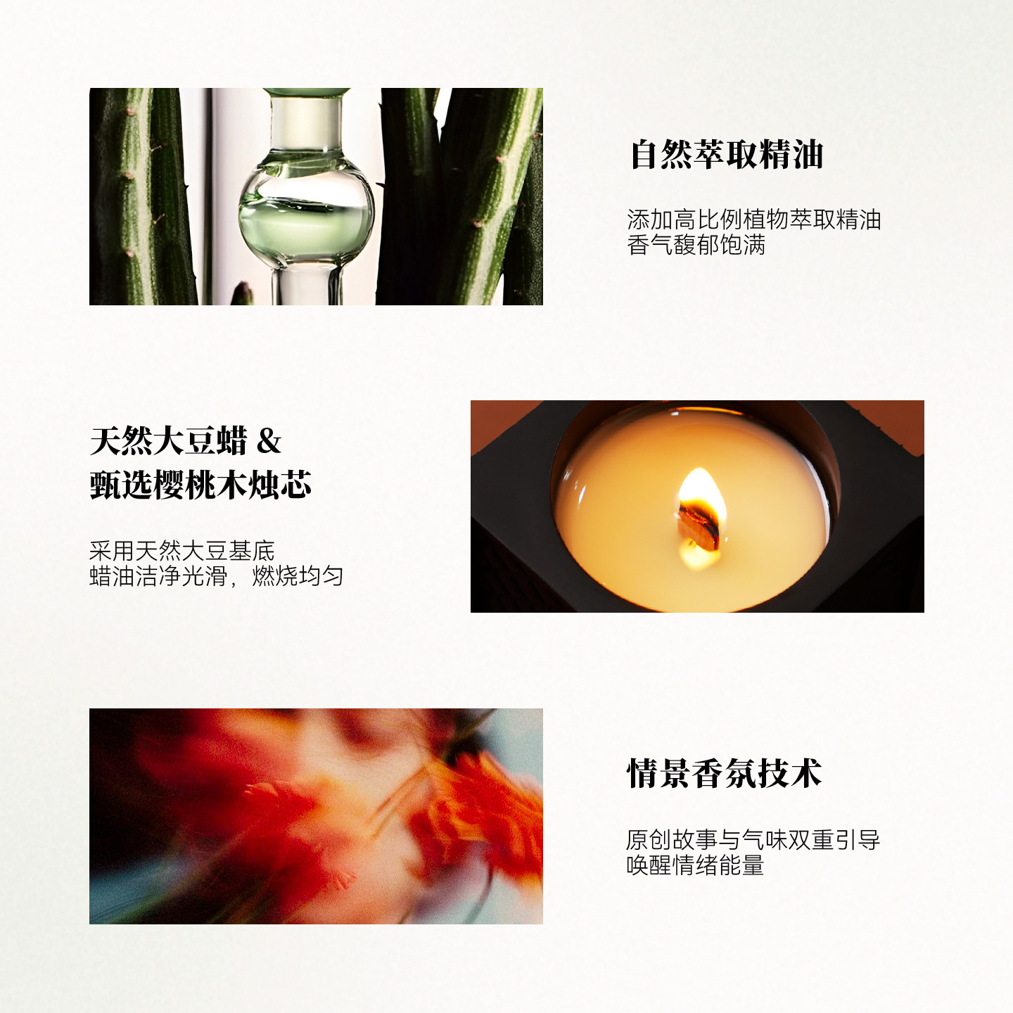 【礼物】猛虎蔷薇心之剧院Q版80g香薰蜡烛生日新婚摆件香氛礼物,淘宝优惠券,粉丝福利购,淘宝优惠卷