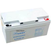 BUDDY Padi Accumulators 6-GFM-65 6-GFM-65 12V65AH Base Station Medical Communication Solar Fire UPS Power Supply