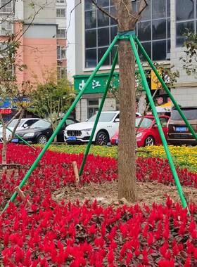 镀锌钢管树木支撑架树木支伸缩杆大树防风树支撑园林绿化支架固定