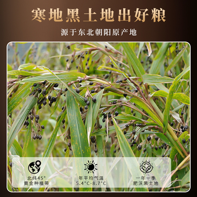 东北农家新米薏米赤小豆苡仁组合