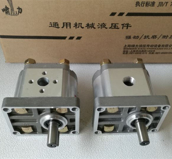 上海啸力液压 CBN-E310扁键左旋齿轮油泵 CBN-F310扁键右旋齿轮泵,淘宝优惠券,粉丝福利购,淘宝优惠卷